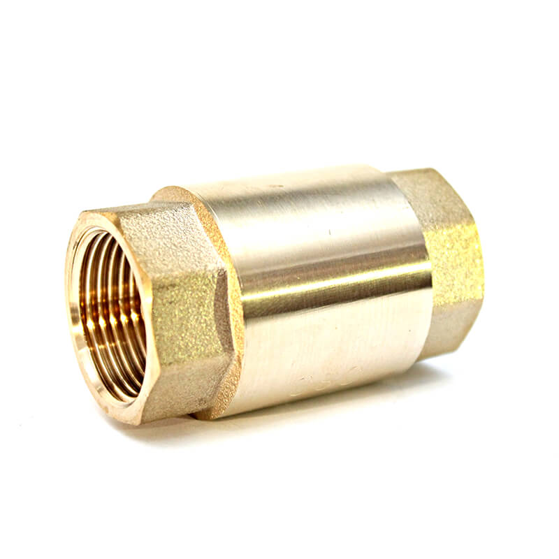 Spring Check Valves
